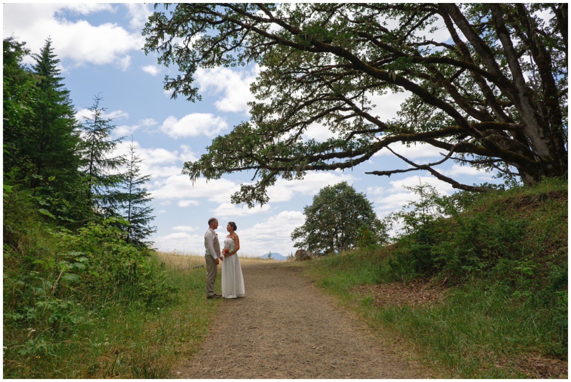 Bride and groom under a giant oak tree